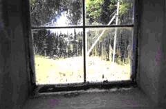 Вікно зіпсоване будівельним розчином